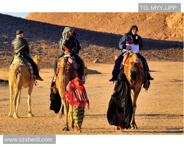 埃及与南非在线对决精彩回顾与赛后分析