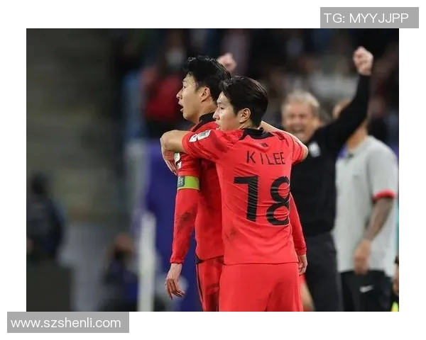 国际赛精彩对决韩国队迎战纽西兰队期待一场激烈较量