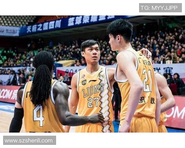 2018至2019赛季辽宁队与山西队精彩对决回顾与分析