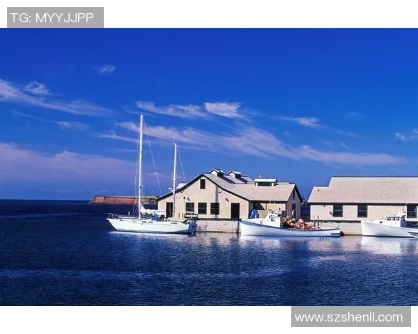 多伦多与渥太华足球对决精彩纷呈谁能在这场较量中胜出