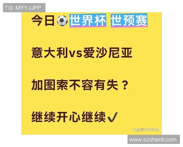 意大利与爱沙尼亚足球历史交锋记录分析与回顾