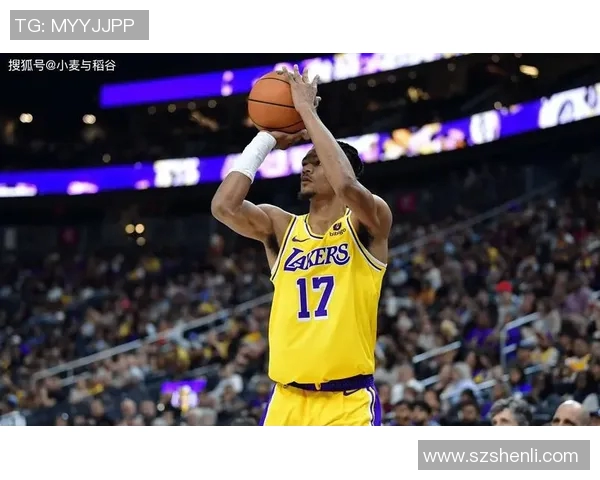 2012至2013赛季湖人与热火的巅峰对决回顾与分析 2012至2013赛季湖人与热火的巅峰对决回顾与分析