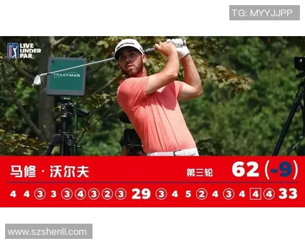 多特蒙德与沃尔夫历史交锋战绩分析及数据回顾