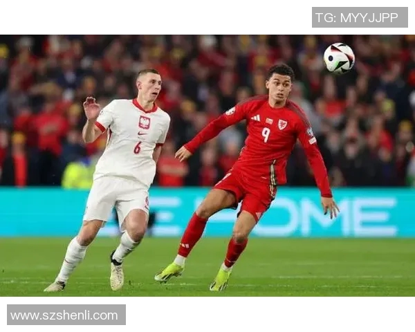 塞尔维亚与威尔士历史交锋战绩分析及近期表现对比