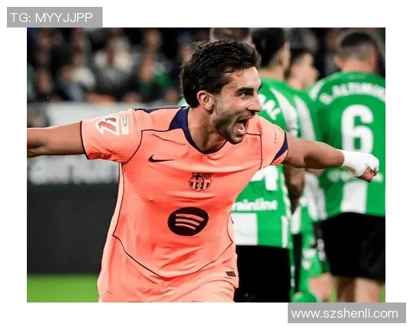 费兰托雷斯的崛起之路与未来发展潜力分析 费兰托雷斯的崛起之路与未来发展潜力分析