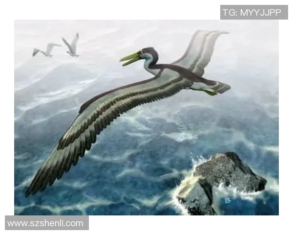 鸟栖沙岩与札的奇妙对比探讨自然与人文的交融之美