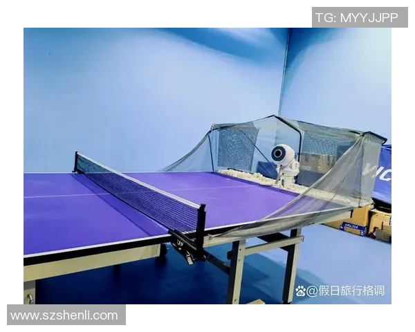 陈敏独家分享乒乓球技巧与心得助你提升球技的秘密宝典MBA 陈敏独家分享乒乓球技巧与心得助你提升球技的秘密宝典MBA