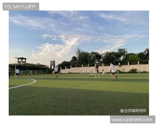 武汉飞盘队速度表现分析与提升策略探讨 武汉飞盘队速度表现分析与提升策略探讨