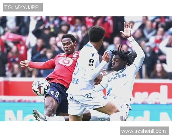 第30轮法甲精彩对决南特主场迎战强敌里尔期待精彩表现