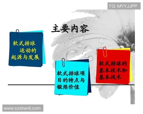 上海排球队技术探讨：提升战术配合与球员素质的关键因素分析