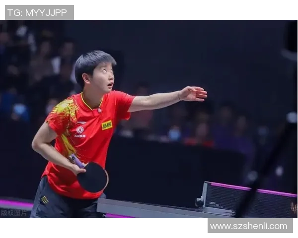 杭州乒乓球队速度之争引发热议球迷与专家各抒己见探讨技术与战术